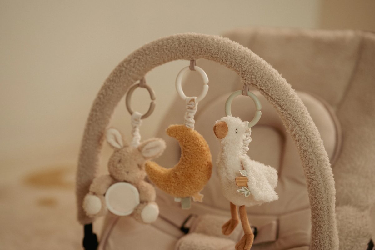 Activity Hanger Newborn Naturals GRS