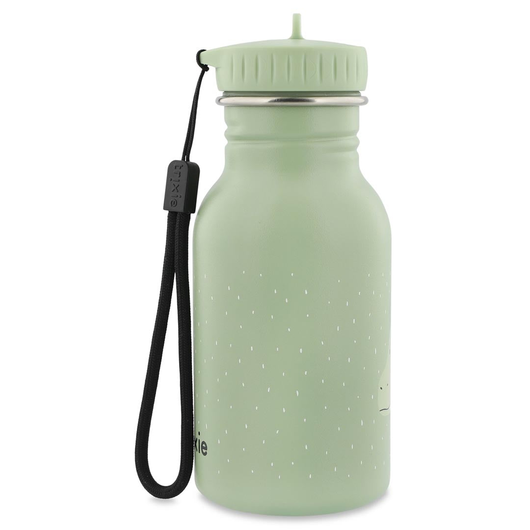 350ml Water Bottle - Mr. Dragon | Trixie