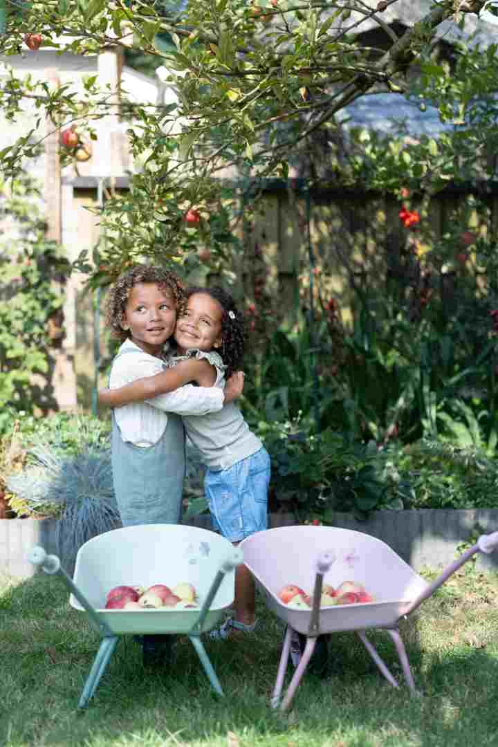 Wheelbarrow Fairy Garden | Little Dutch
