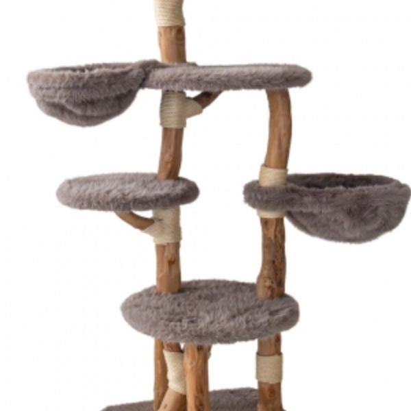 Nobby Kratzbaum Marik in Graubraun – 65 × 60 × 188 cm