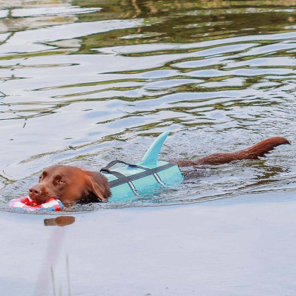 Gilet de sauvetage pour chien « Sharki » bleu clair, taille : L - 40 cm | Nobby