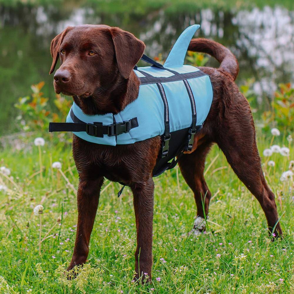 Dog swimming aid "Sharki" light blue Size: L - 40 cm | Nobby