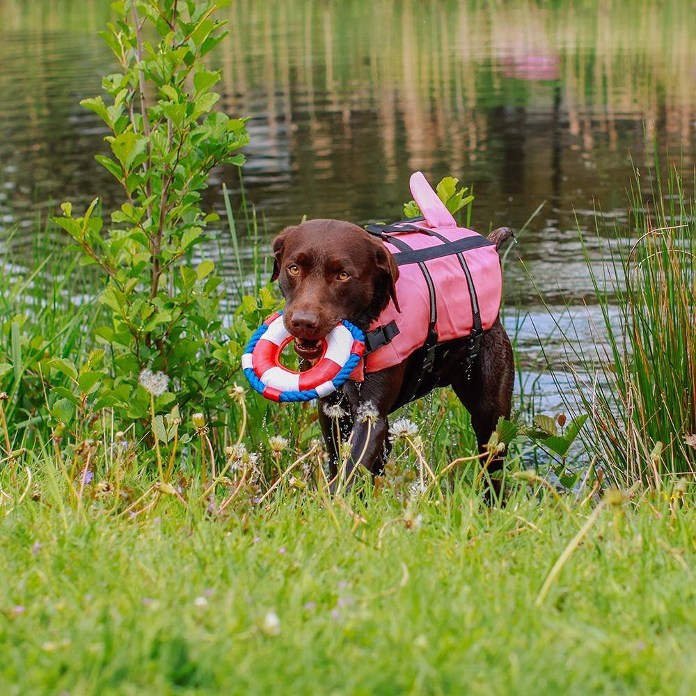 Gilet de sauvetage pour chien « Sharki » rose, taille L - 40 cm | Nobby