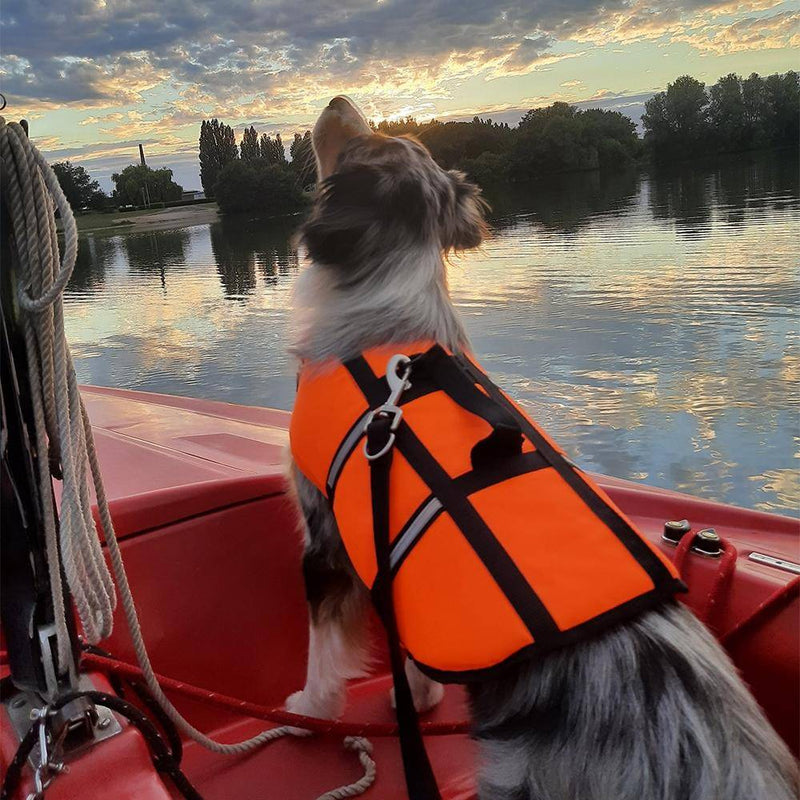 Gilet de sauvetage pour chien orange fluo taille : M - 35 cm | Nobby