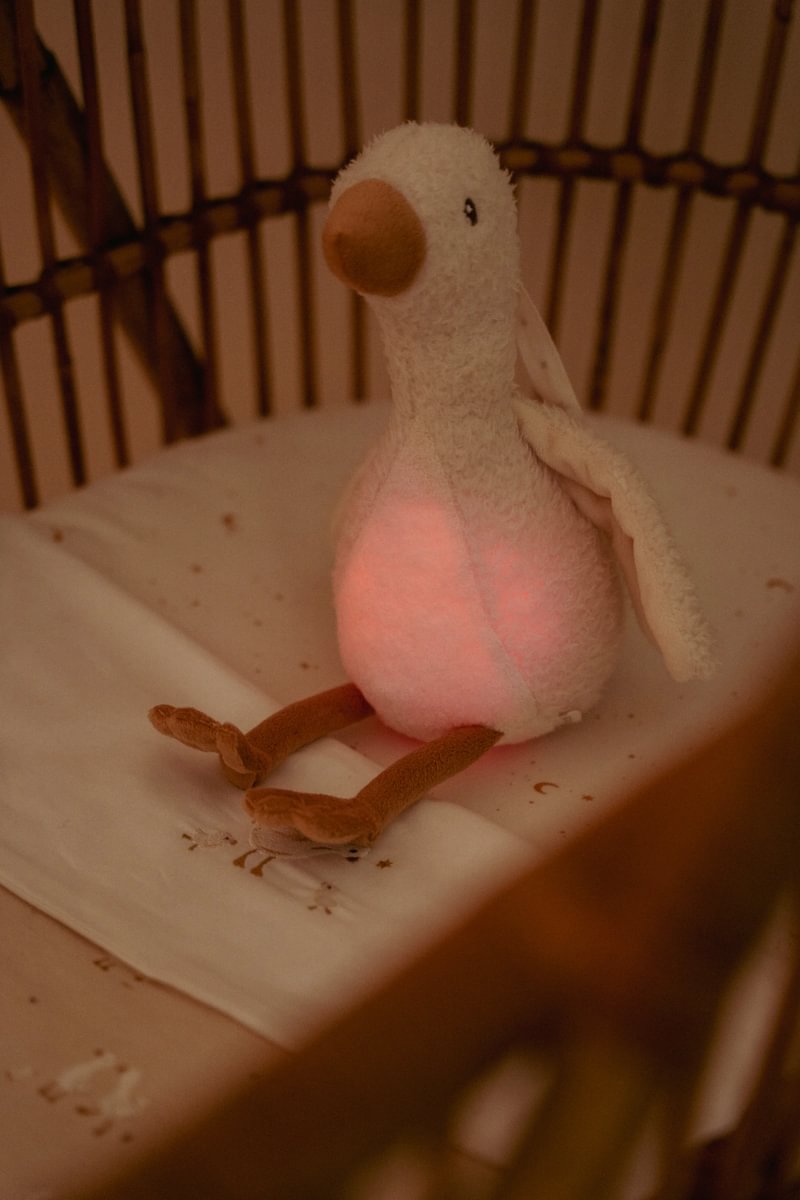 Cuddly Goose Light &amp; Sound GRS