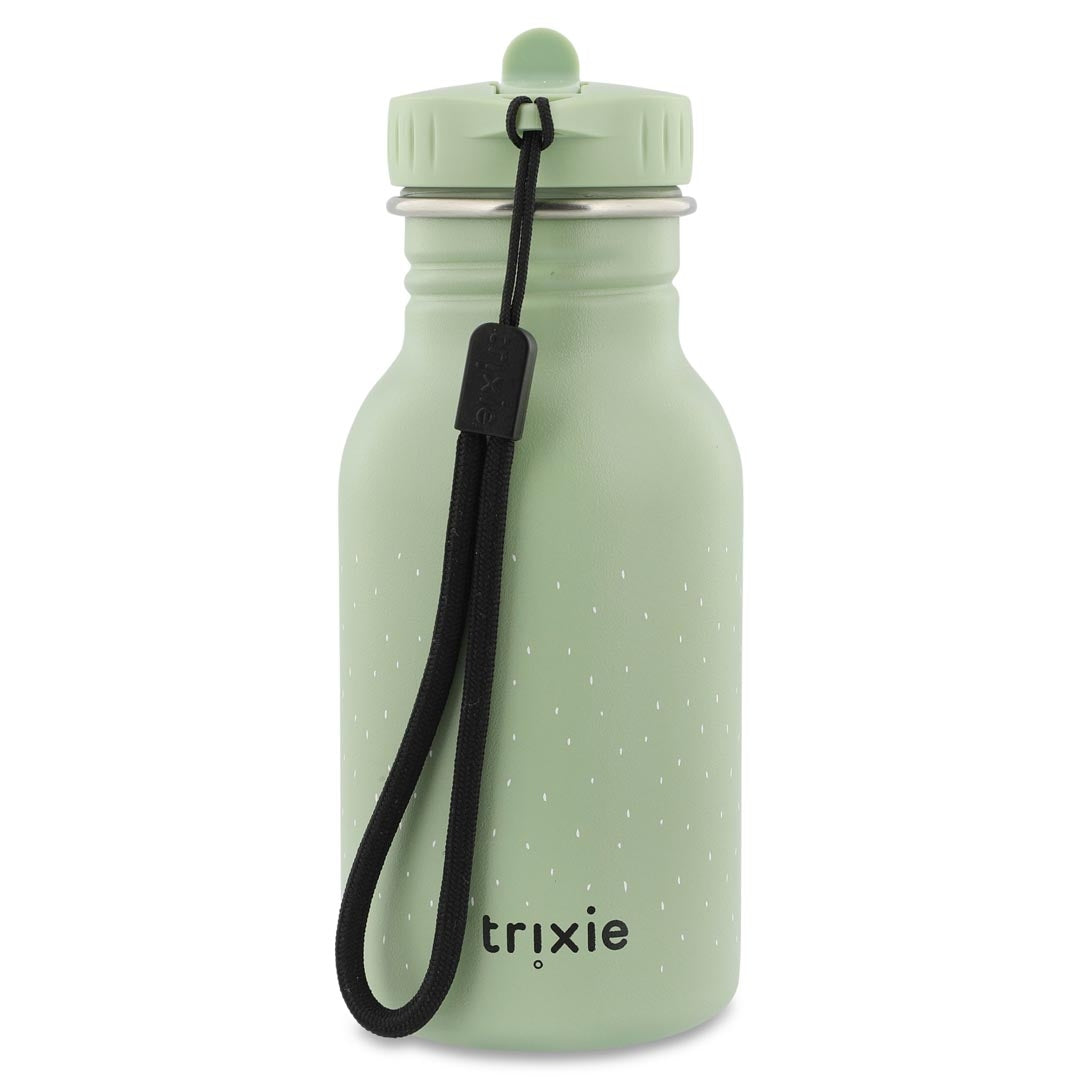 350ml Water Bottle - Mr. Dragon | Trixie