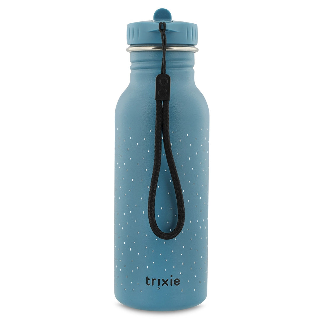 Gourde 500ml - Monsieur Triceratops | Trixie